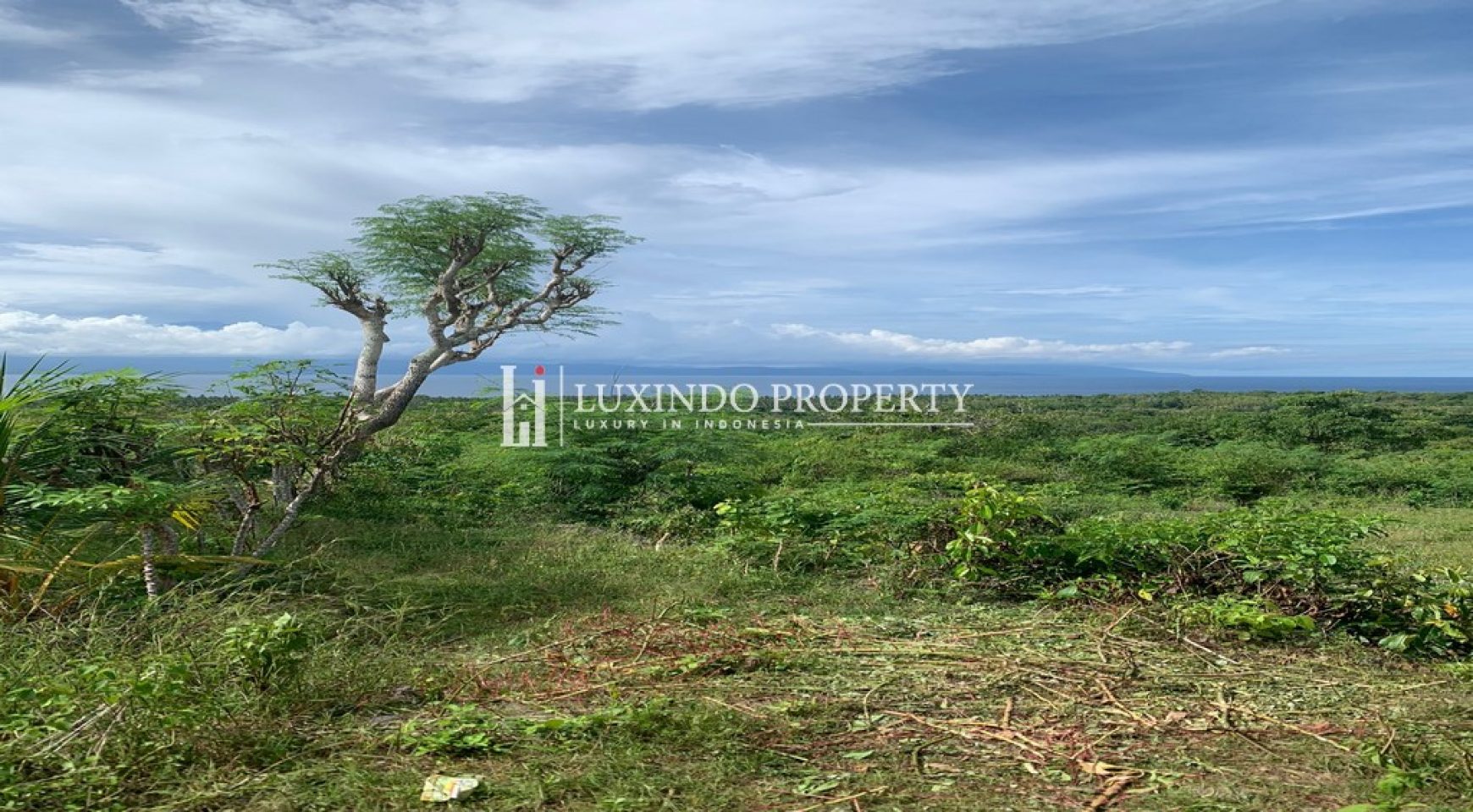 NUSA PENIDA – STUNNING 21 ARE LAND FOR SALE IN NUSA PENIDA WITH PANORAMIC VIEW (FHL407)