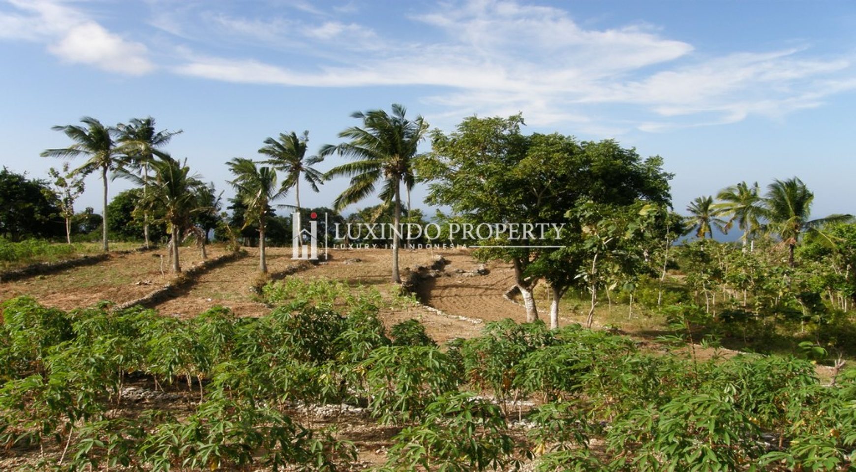 NUSA PENIDA – 258 ARE FREEHOLD LAND WITH AMAZING OCEAN VIEW (FHL425)