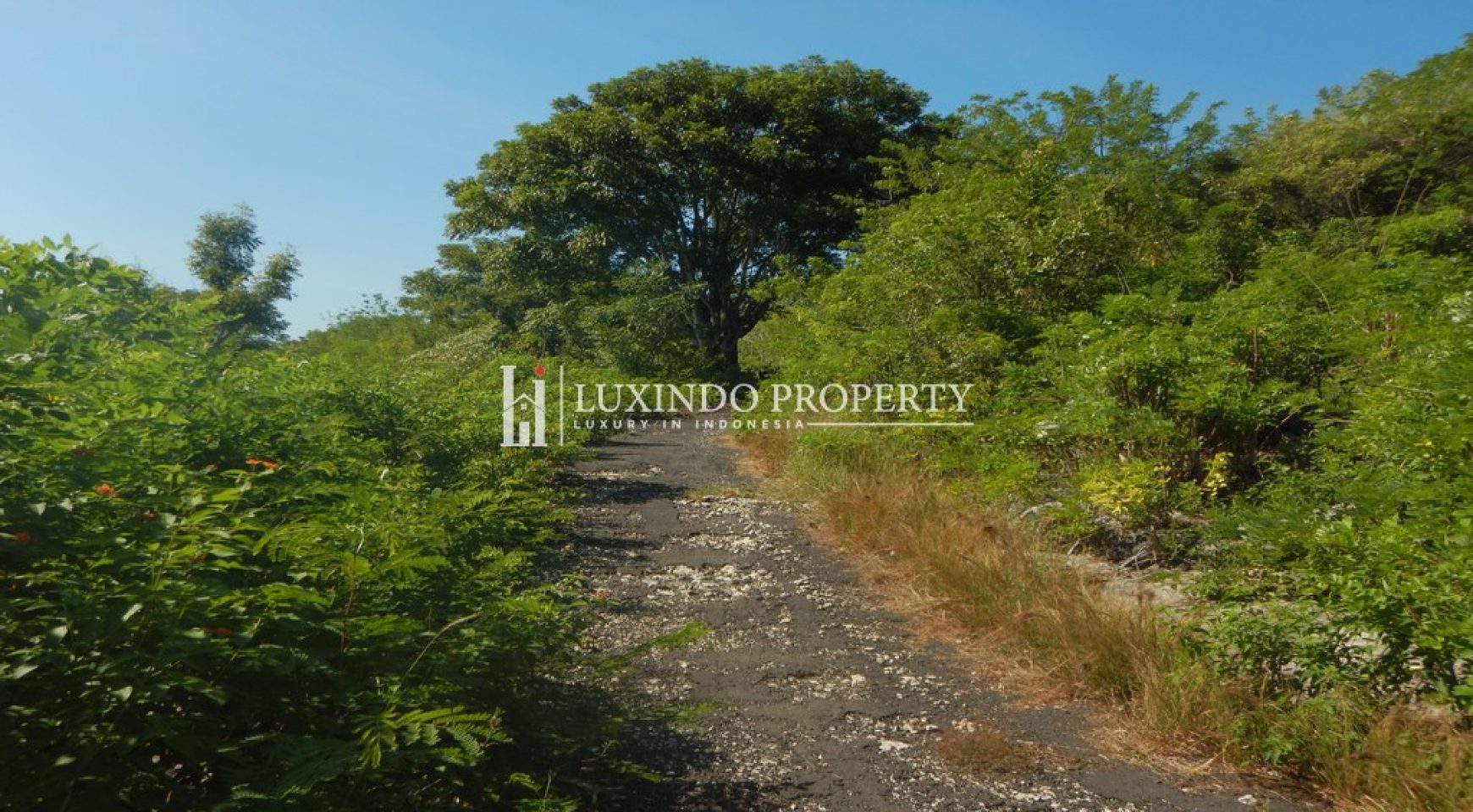 NUSA PENIDA 38.5 ARE FREEHOLD LAND WITH OCEAN VIEW (FHL423)