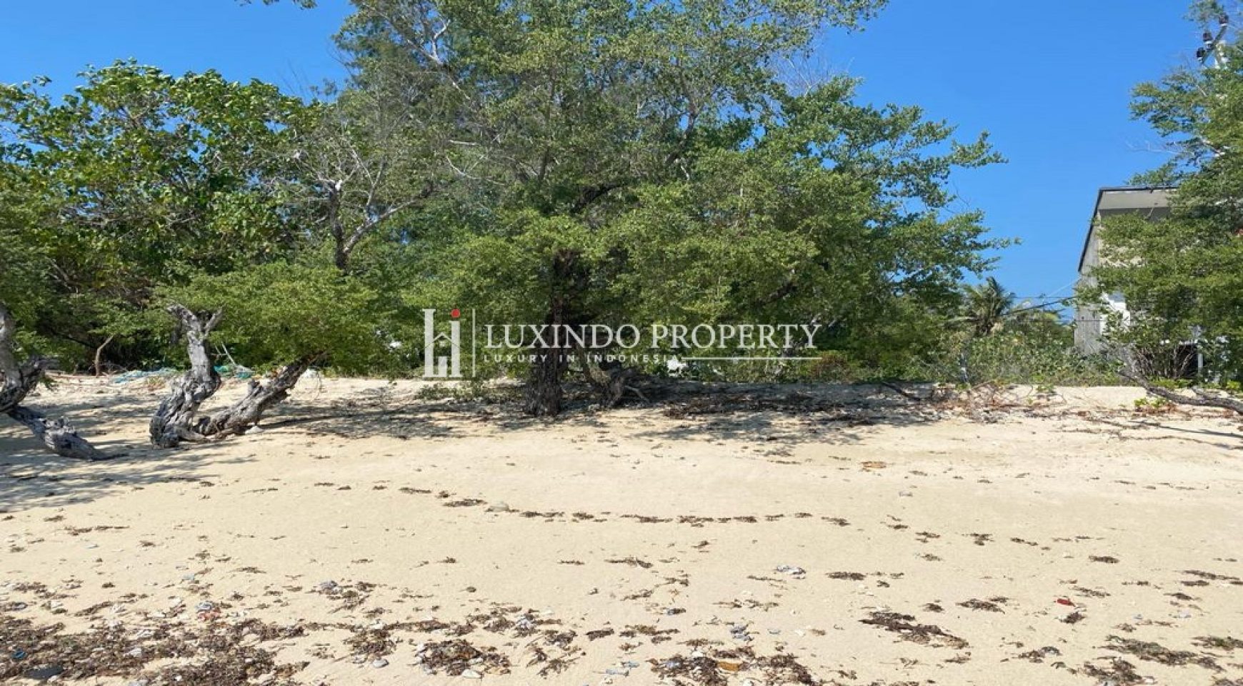 GILI TRAWANGAN – 20 ARE BEACHFRONT LAND FOR SALE (FHL461)