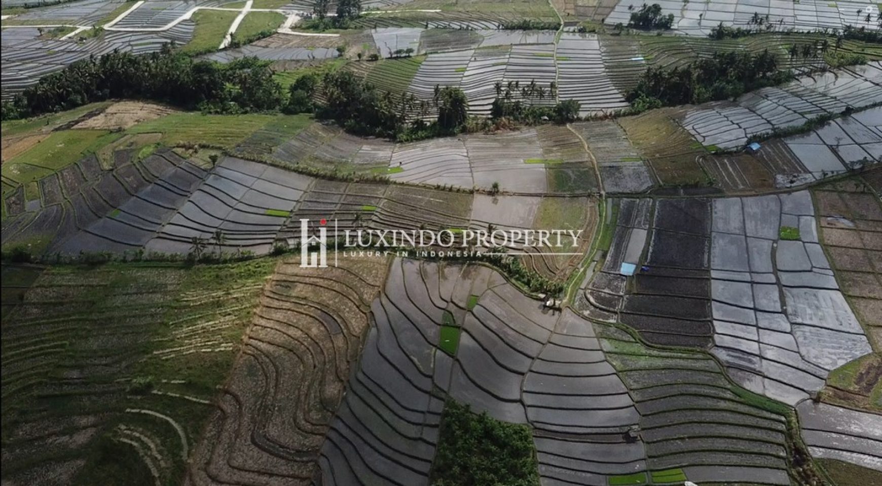 PERERENAN – EXQUISITE LAND BORDERING GREEN ZONE AND RICE FIELDS IN PERERENAN, BALI (LHL165)