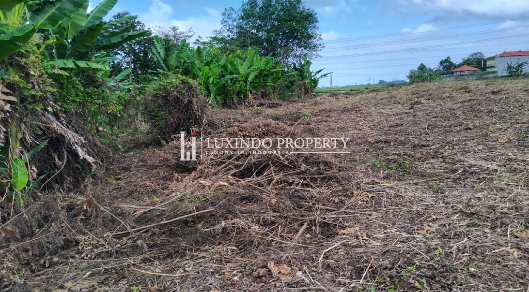 TABANAN – FREEHOLD LAND WITH RICE FIELD VIEW IN NORTH KEDUNGU (FHL531)