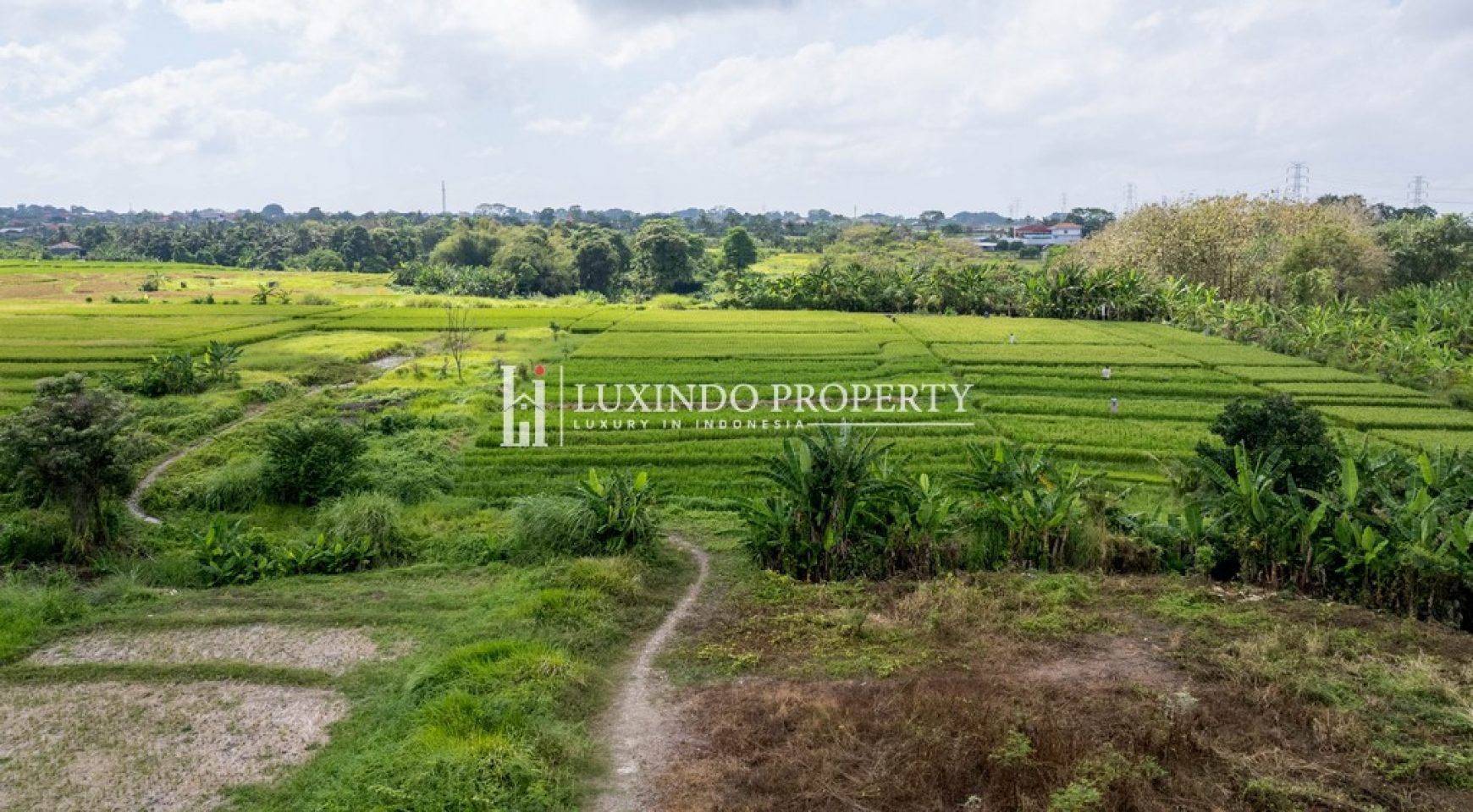 KEDUNGU – FREEHOLD LAND WITH RICE FIELD AND RIVER VIEW (FHL536)