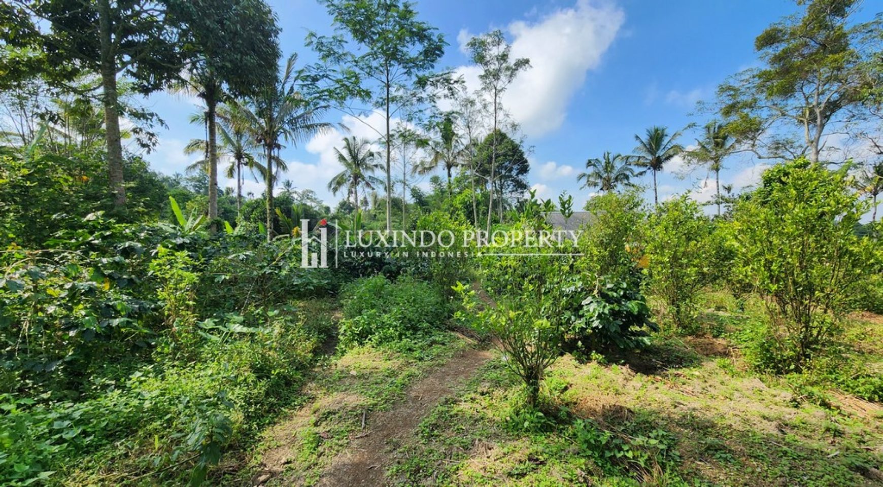 TARO – TRANQUIL 1 HECTARE LAND FOR FREEHOLD SALE WITH AMAZING VIEWS (FHL412)