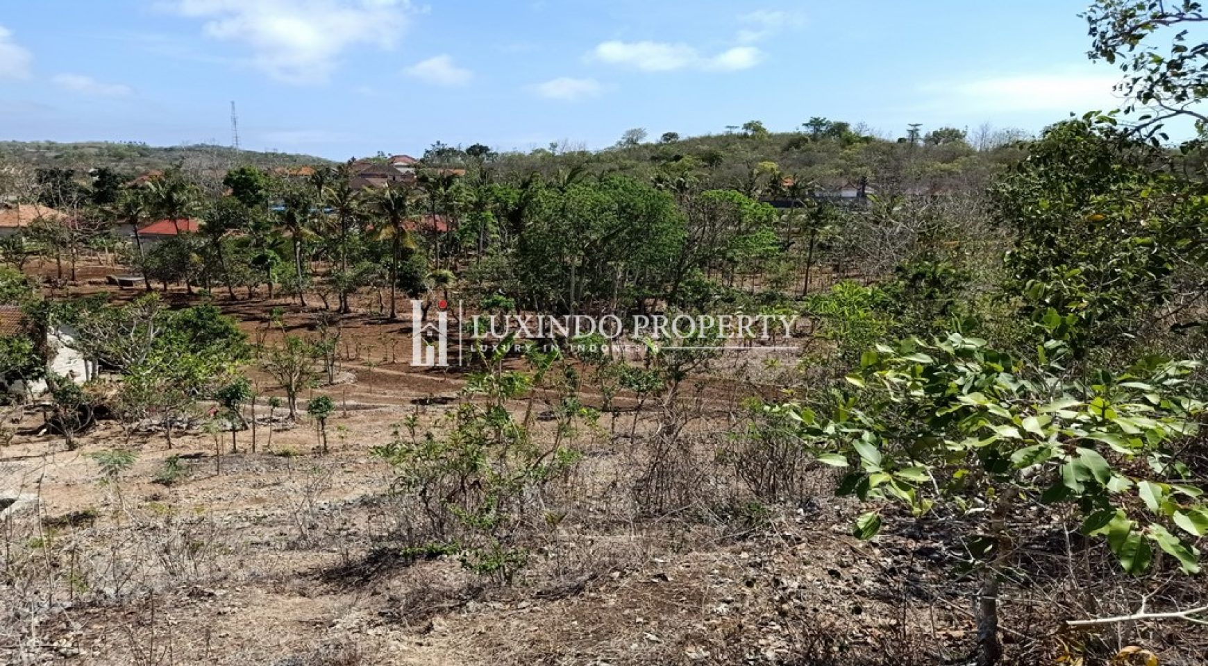 NUSA PENIDA – 2.4 HECATRE HILLTOP VIEW LAND IN BUNGA MEKAR (FHL377)