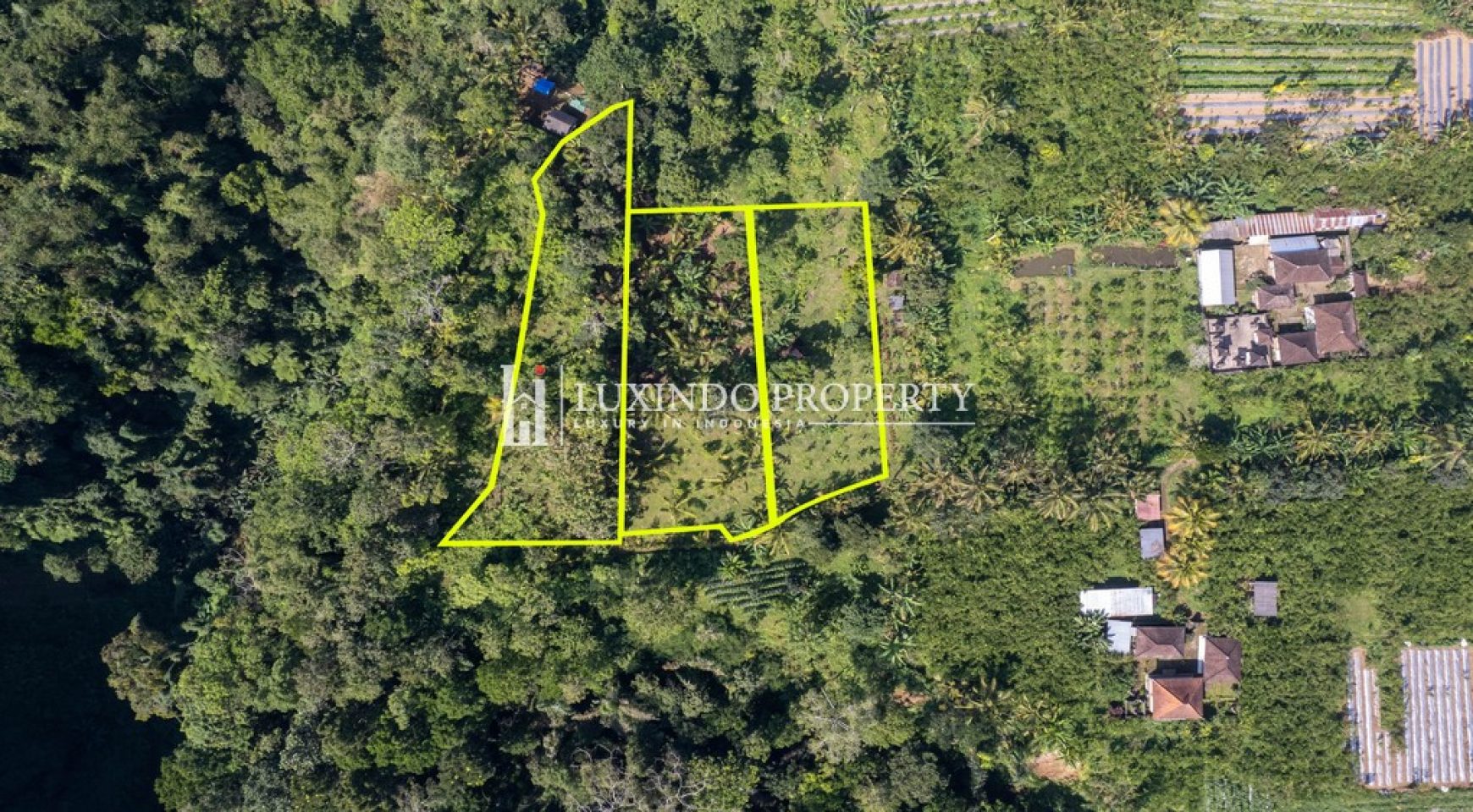 SCENIC 5000 SQM LAND IN PAYANGAN KERTA, BALI (FHL512)