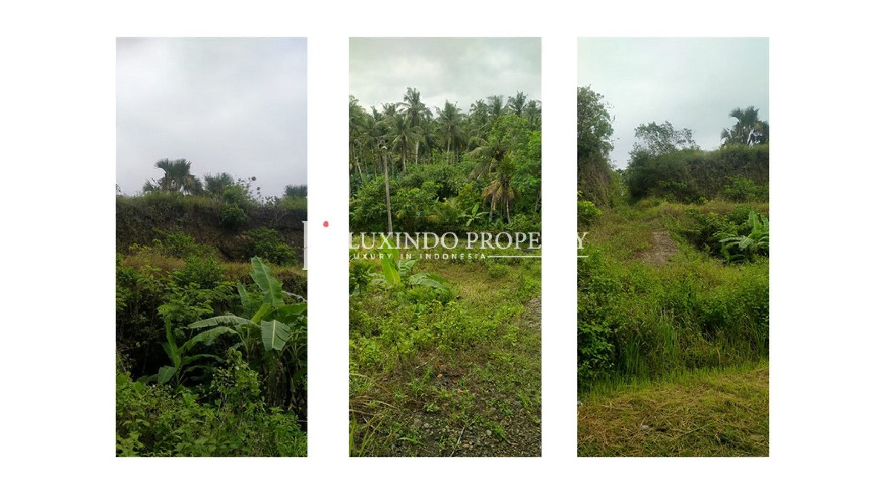 LAND FOR SALE IN JEMBRANA – NEGARA (FHL537)