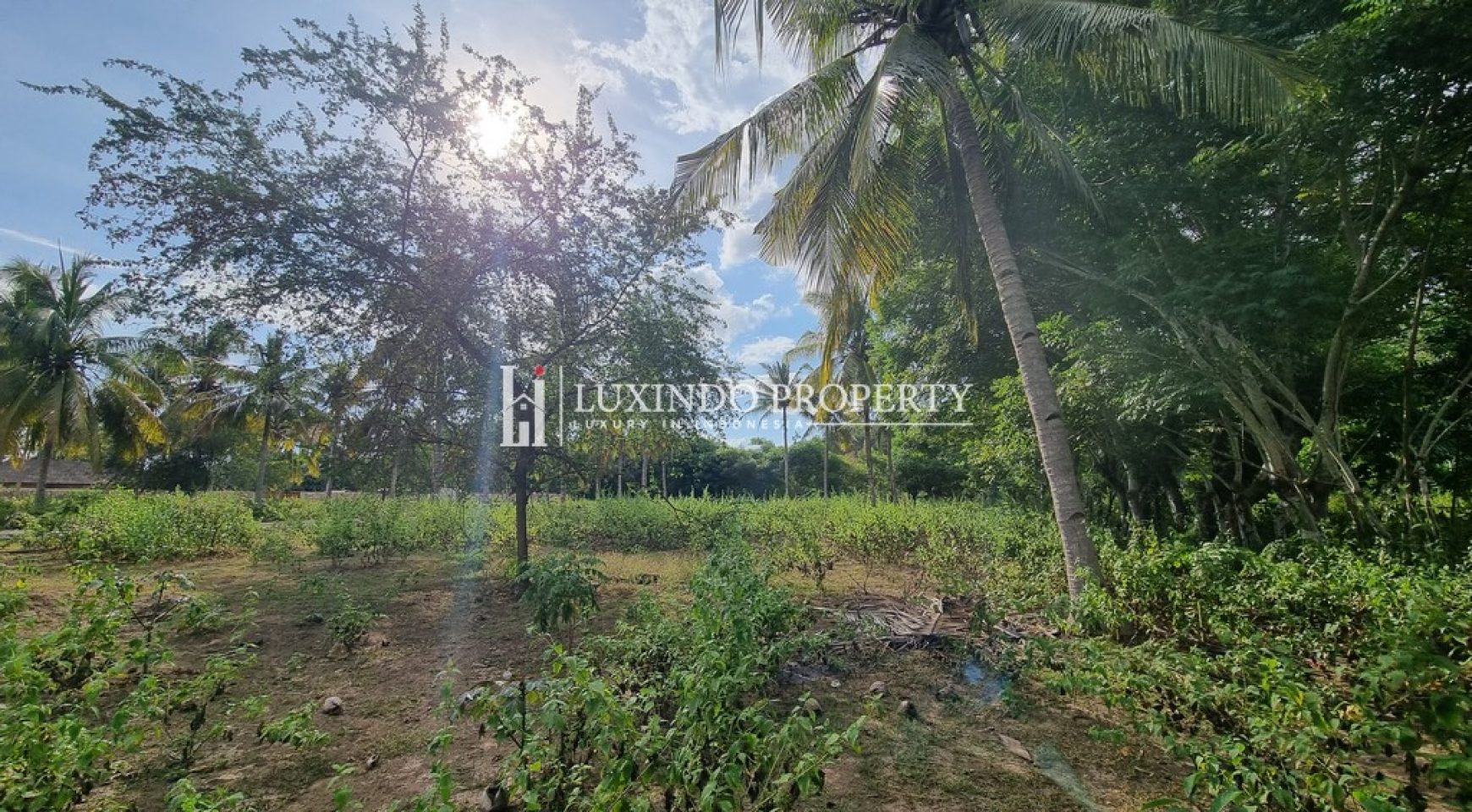 DISCOVER PRIME LAND IN KERTASARI, WEST SUMBAWA (LHL245)