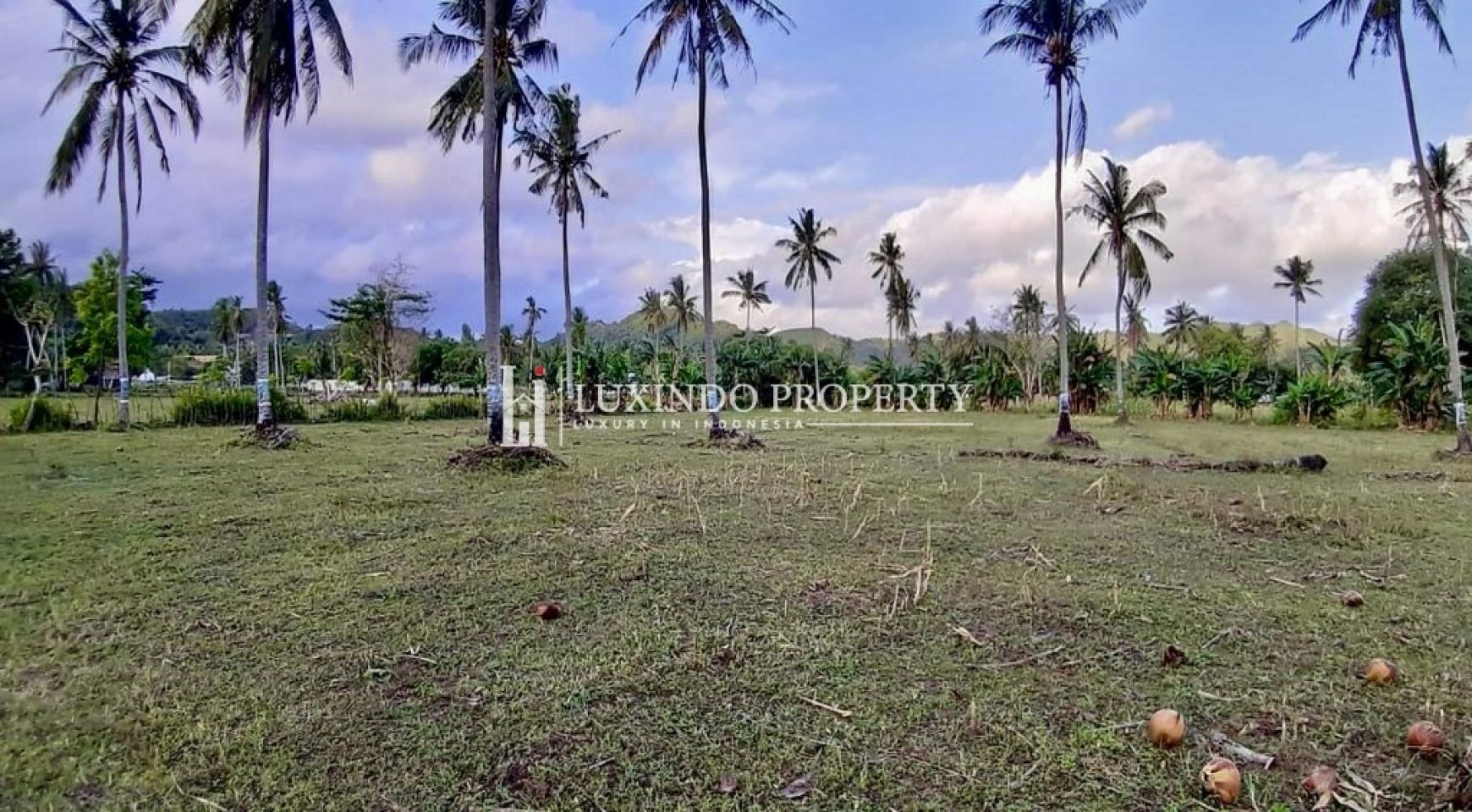 LOMBOK – PRIME BEACHFRONT LAND FOR SALE IN SELONG BELANAK (FHL530X)