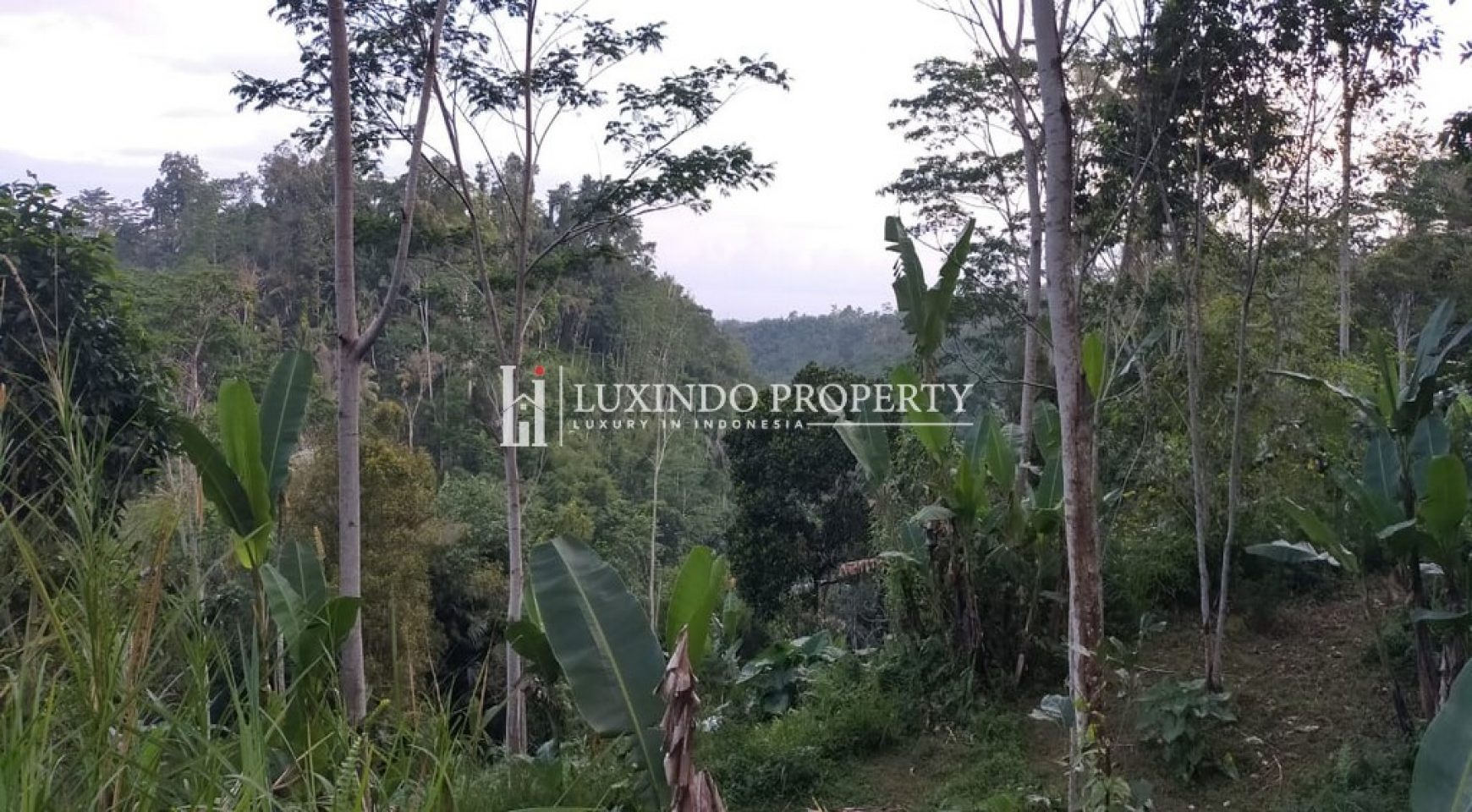 SEBATU – PERFECT PLOT OF LAND FOR FREEHOLD SALE IN NORTH UBUD (FHL172)