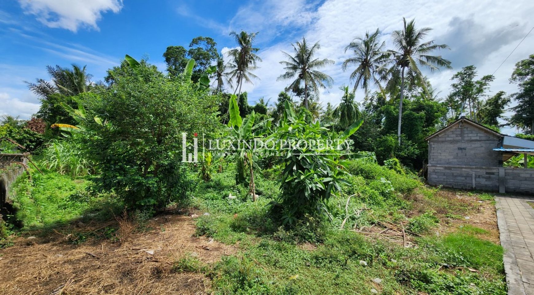 SAKAH – 13.5 ARE LAND FOR LEASEHOLD WITH RIVER AND RICE FIELD VIEWS (LHL140)