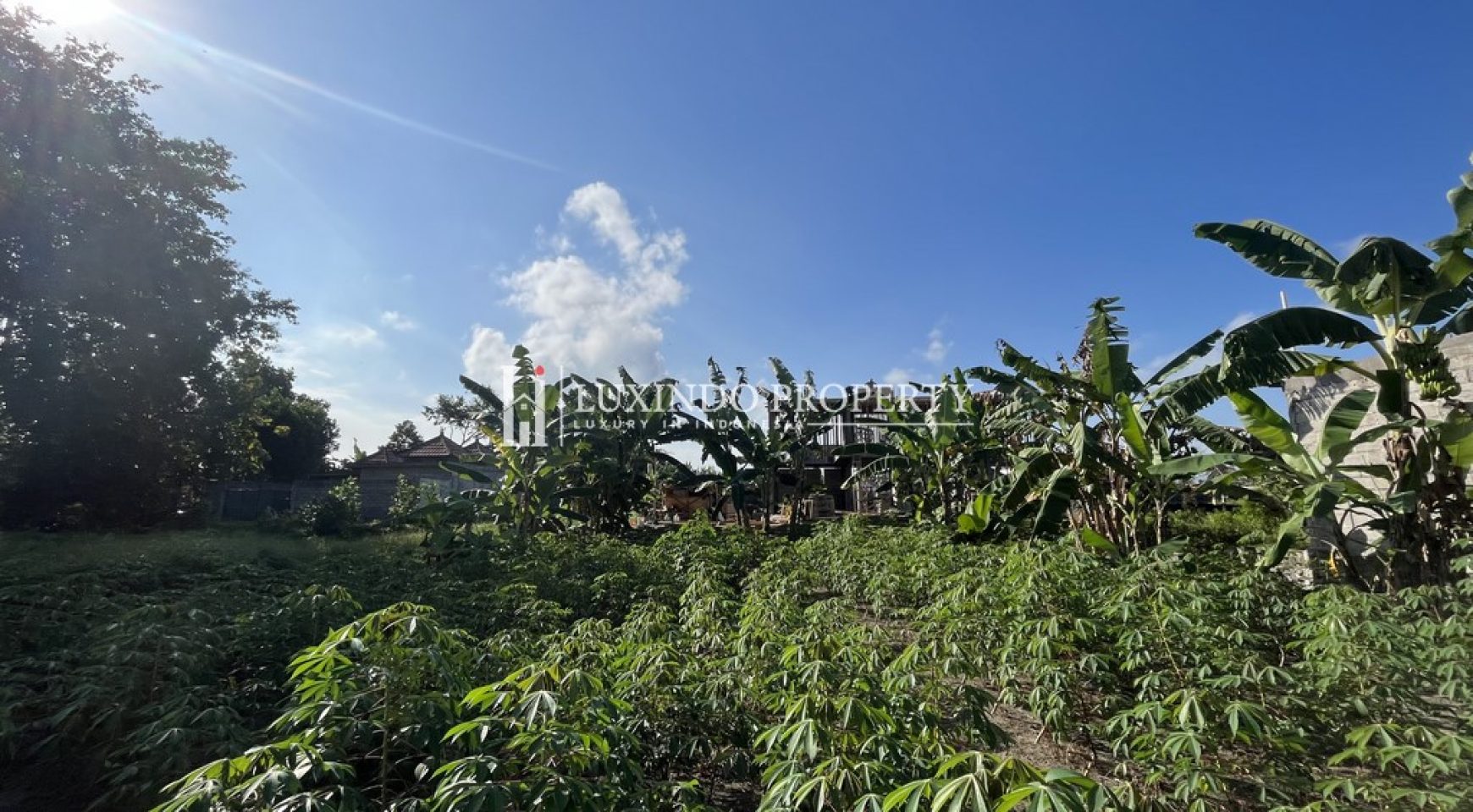 UBUD – PRIME 4 ARE LAND IN SINGAPADU FOR LEASEHOLD SALE (LHL162)