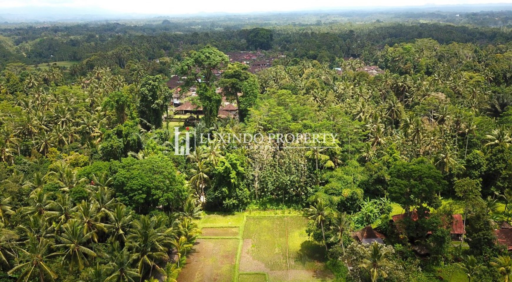 KELUSA, PAYANGAN – LARGE PLOT FIT FOR RETREAT, HOTEL AND RESORT (LHL116)